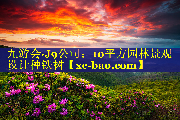 10平方园林景观设计种铁树