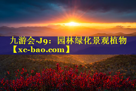 园林绿化景观植物