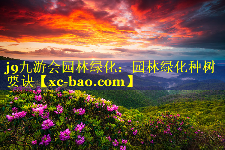 园林绿化种树要诀