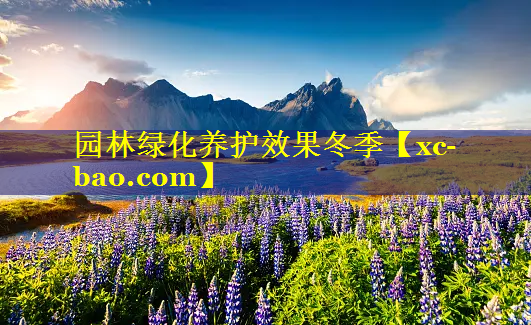 园林绿化养护效果冬季