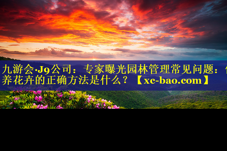 专家曝光园林管理常见问题：保养花卉的正确方法是什么？