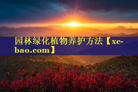 园林绿化植物养护方法