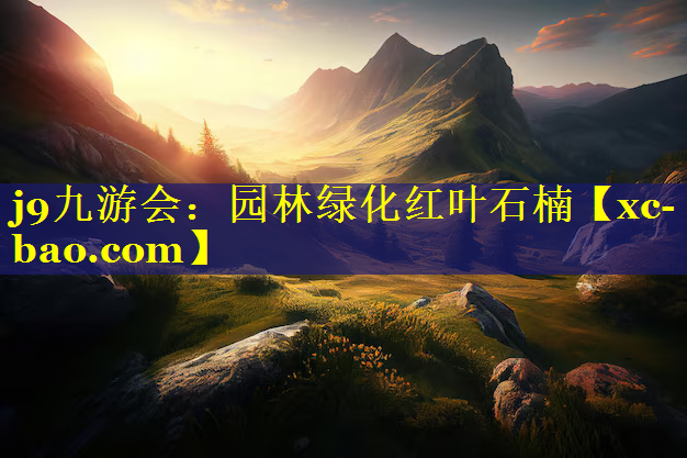 园林绿化红叶石楠