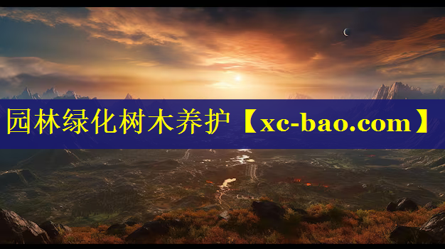 园林绿化树木养护