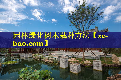 园林绿化树木栽种方法