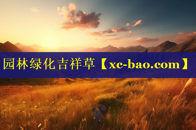 园林绿化吉祥草