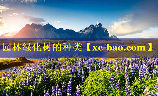 园林绿化树的种类