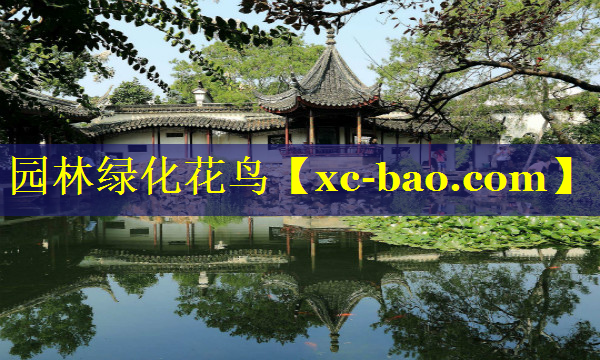 园林绿化花鸟