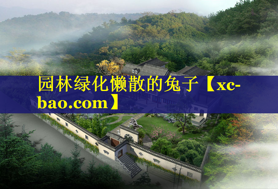 园林绿化懒散的兔子