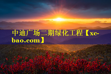 中迪广场二期绿化工程