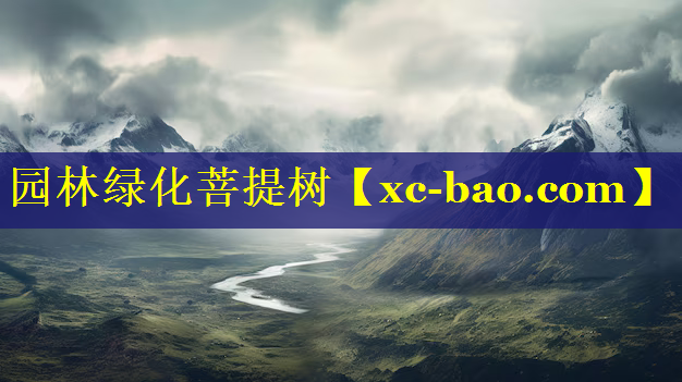 园林绿化菩提树