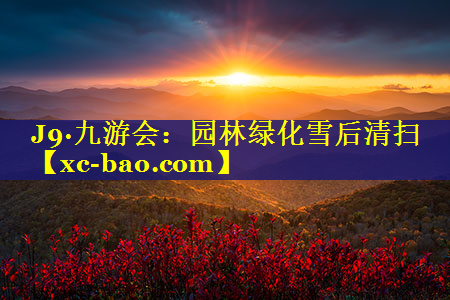 园林绿化雪后清扫