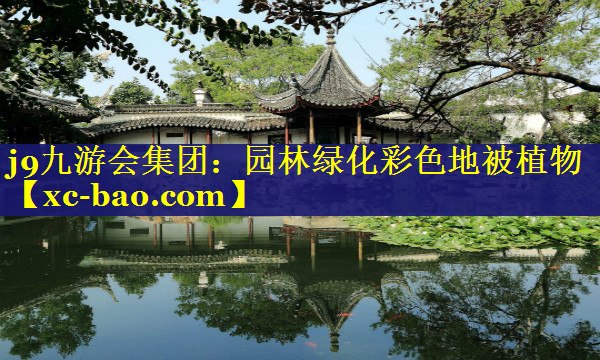 园林绿化彩色地被植物