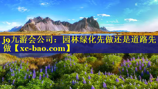园林绿化先做还是道路先做
