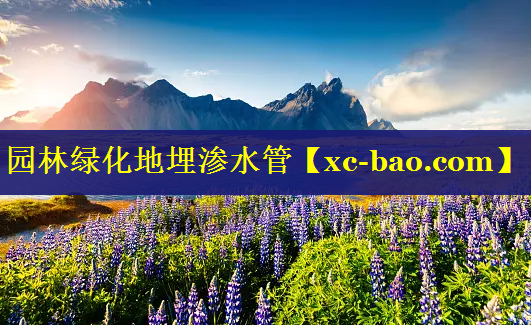 园林绿化地埋渗水管