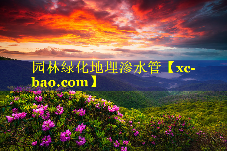 园林绿化地埋渗水管