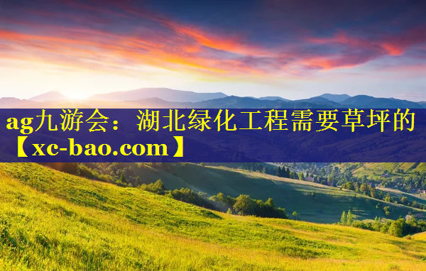 湖北绿化工程需要草坪的