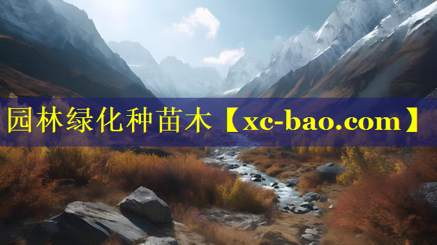 园林绿化种苗木