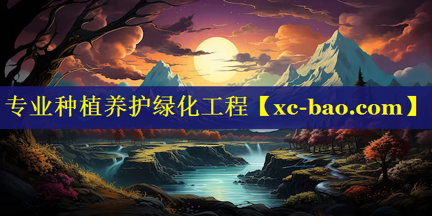 专业种植养护绿化工程