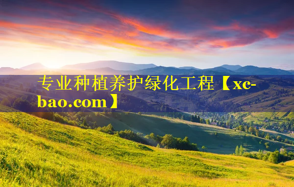 专业种植养护绿化工程