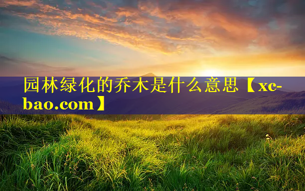 园林绿化的乔木是什么意思