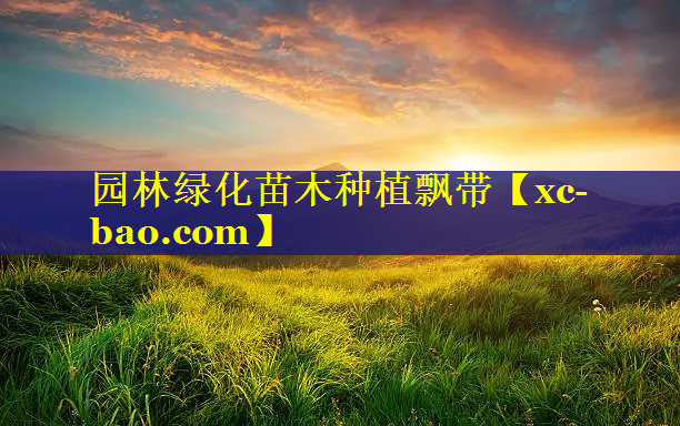 园林绿化苗木种植飘带