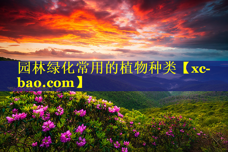 园林绿化常用的植物种类