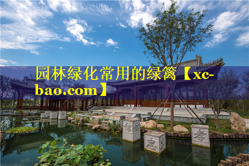 园林绿化常用的绿篱