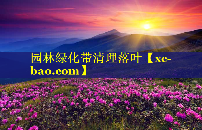 园林绿化带清理落叶