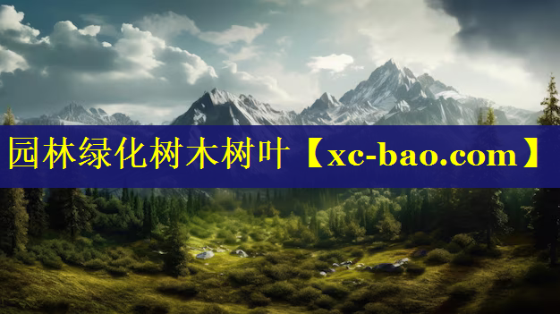 园林绿化树木树叶