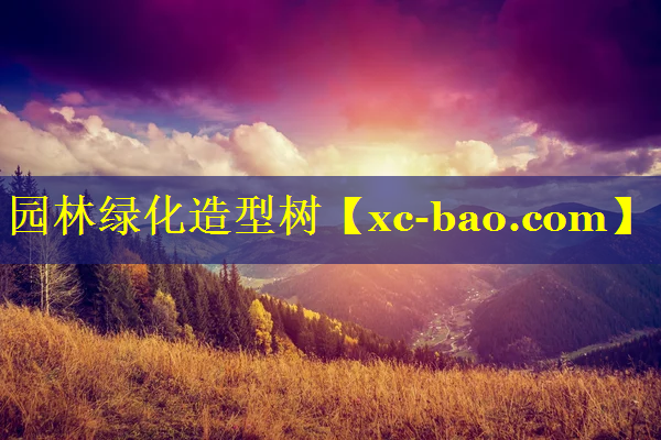 园林绿化造型树