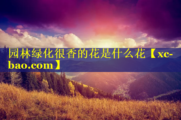 园林绿化很香的花是什么花