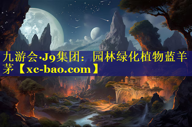 园林绿化植物蓝羊茅
