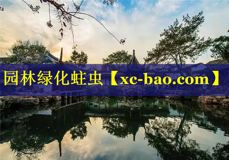 园林绿化蛀虫