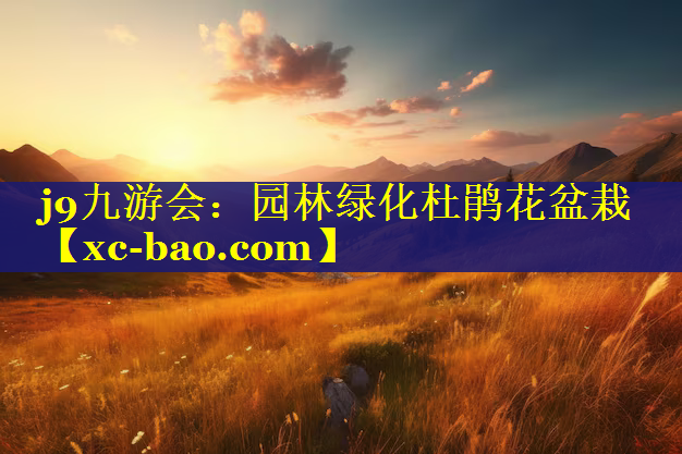 园林绿化杜鹃花盆栽