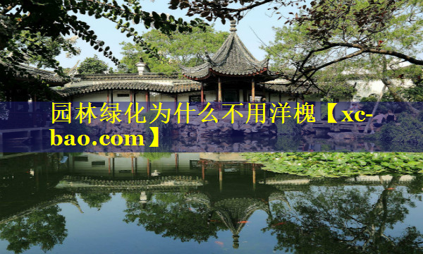 园林绿化为什么不用洋槐