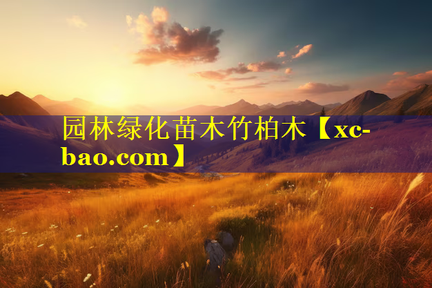园林绿化苗木竹柏木