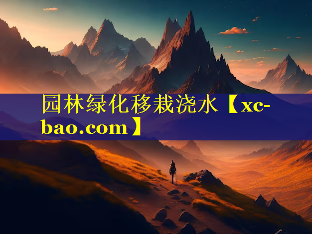 园林绿化移栽浇水