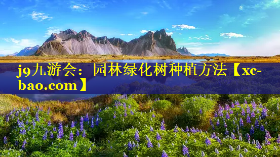 园林绿化树种植方法