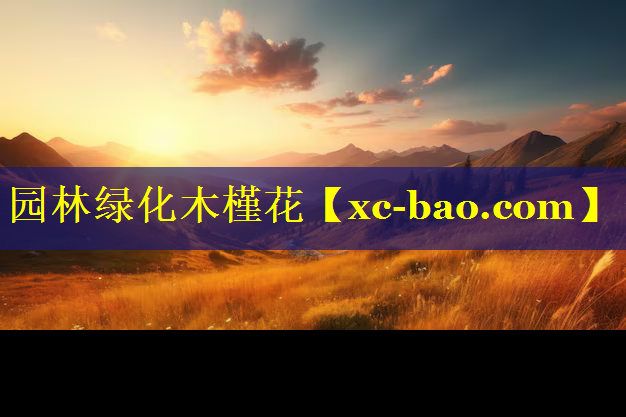 园林绿化木槿花