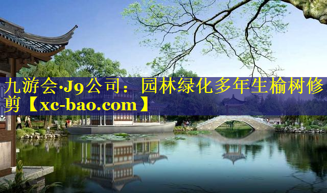 园林绿化多年生榆树修剪