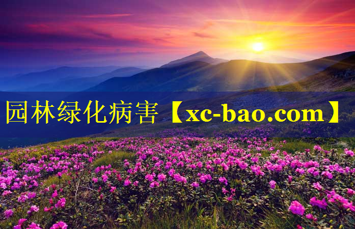 园林绿化病害