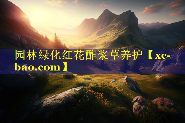园林绿化红花酢浆草养护