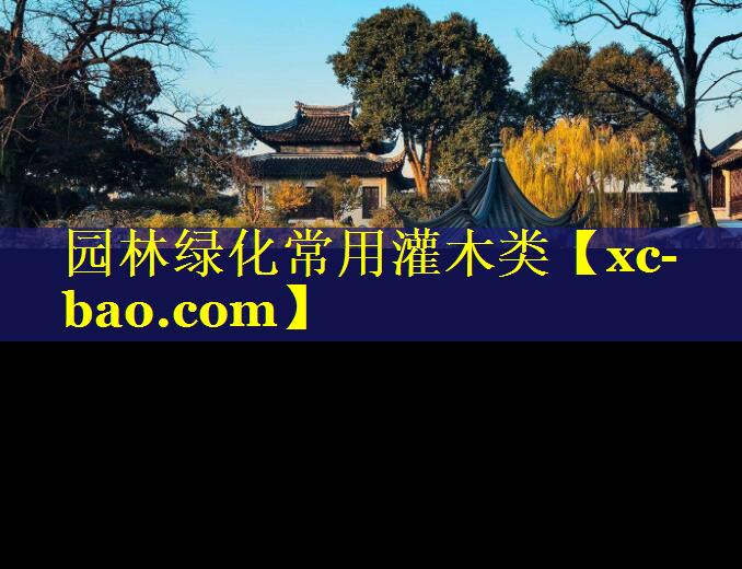 园林绿化常用灌木类