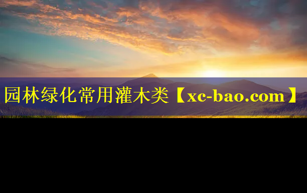 园林绿化常用灌木类