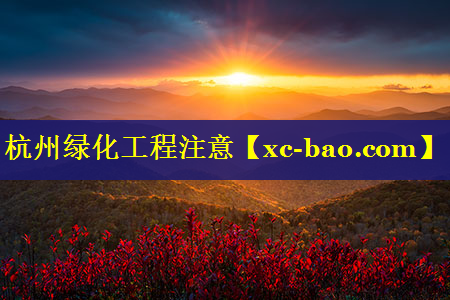 杭州绿化工程注意
