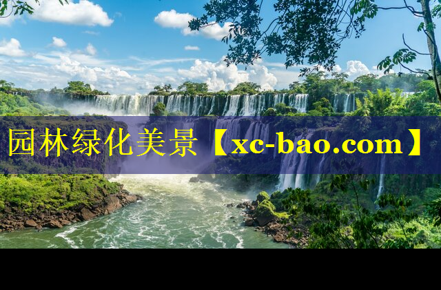 园林绿化美景