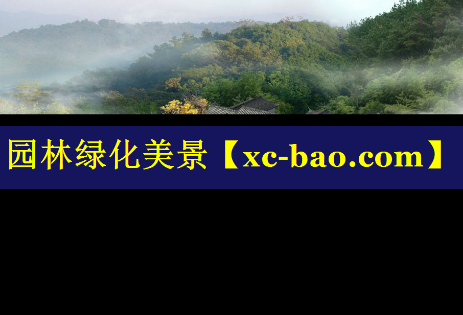 园林绿化美景