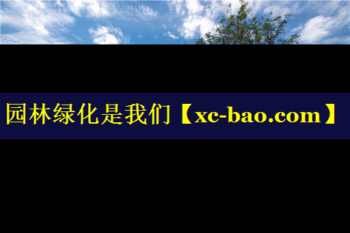 园林绿化是我们