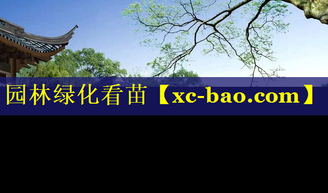 园林绿化看苗